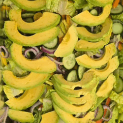 Avocado Salad
